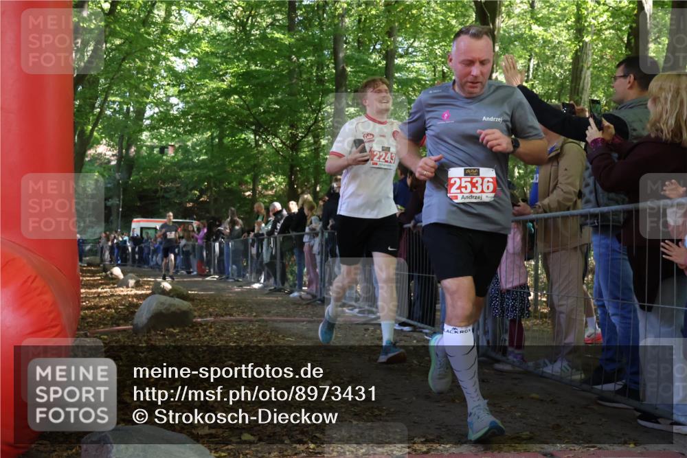 28.09.2025 - 33. Volkslauf durch das schöne Alstertal Strokosch-Dieckow http://msf.ph/oto/8973431 28.09.2025 12:17:36 Ziel 2156, 2601 meine-sportfotos.de