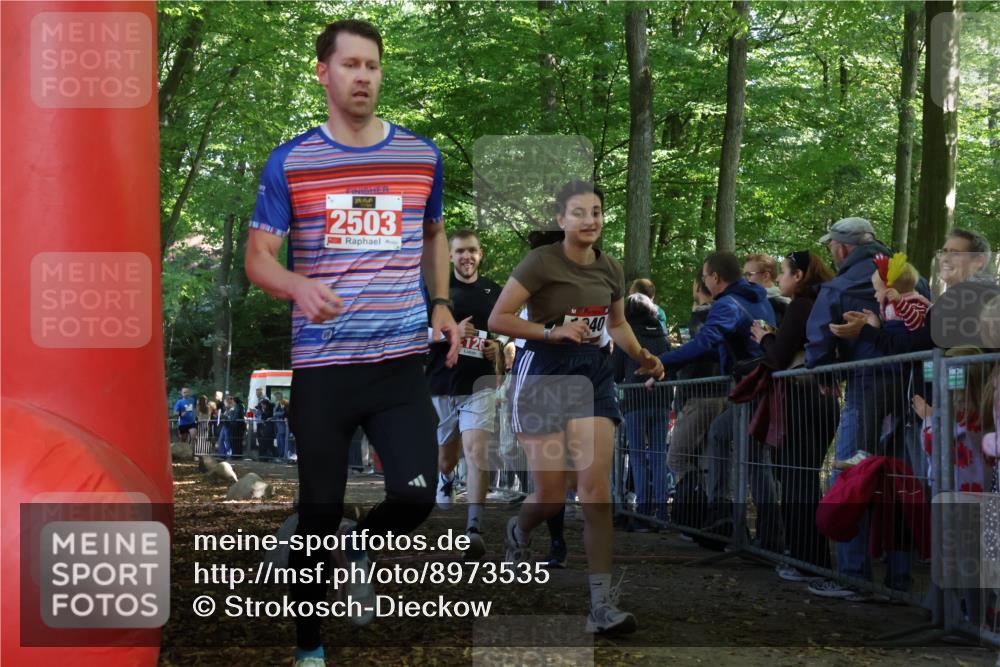 28.09.2025 - 33. Volkslauf durch das schöne Alstertal Strokosch-Dieckow http://msf.ph/oto/8973535 28.09.2025 12:19:11 Ziel 1731, 2119, 2126, 2127, 2380 meine-sportfotos.de