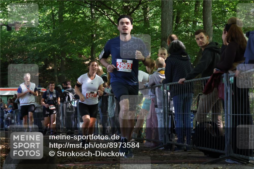 28.09.2025 - 33. Volkslauf durch das schöne Alstertal Strokosch-Dieckow http://msf.ph/oto/8973584 28.09.2025 12:19:59 Ziel 1079, 2421, 2993 meine-sportfotos.de
