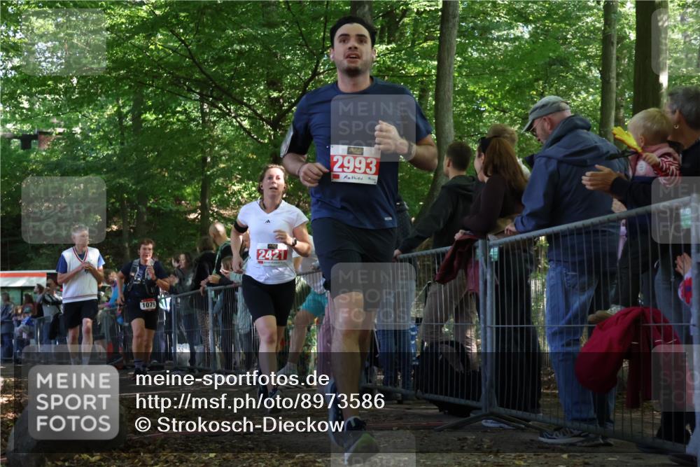 28.09.2025 - 33. Volkslauf durch das schöne Alstertal Strokosch-Dieckow http://msf.ph/oto/8973586 28.09.2025 12:19:59 Ziel 1079, 2421, 2993 meine-sportfotos.de