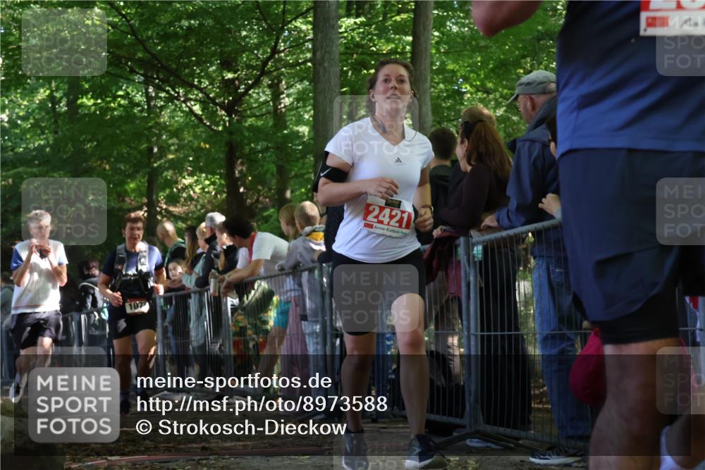 28.09.2025 - 33. Volkslauf durch das schöne Alstertal Strokosch-Dieckow http://msf.ph/oto/8973588 28.09.2025 12:20:00 Ziel 1079, 2421, 2993 meine-sportfotos.de