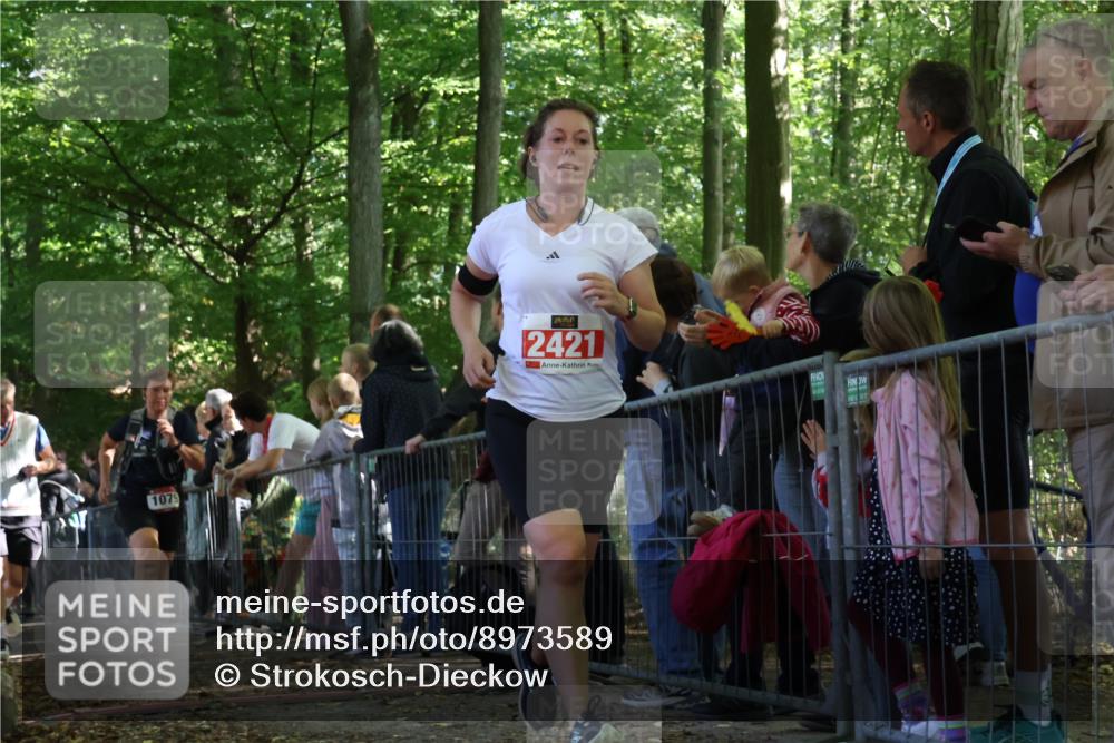 28.09.2025 - 33. Volkslauf durch das schöne Alstertal Strokosch-Dieckow http://msf.ph/oto/8973589 28.09.2025 12:20:01 Ziel 1079, 2252, 2421 meine-sportfotos.de