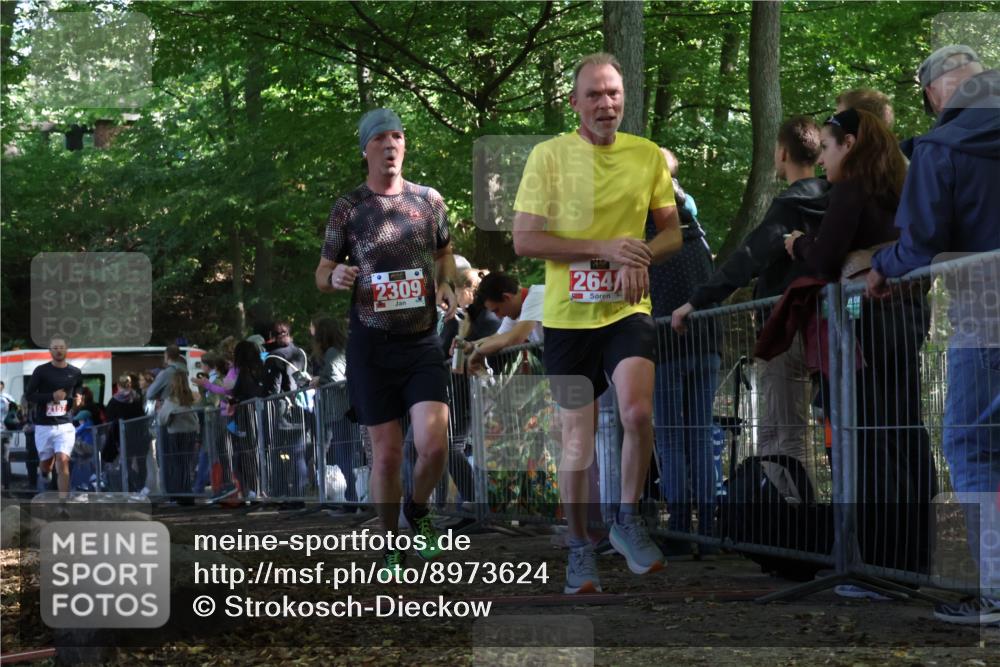 28.09.2025 - 33. Volkslauf durch das schöne Alstertal Strokosch-Dieckow http://msf.ph/oto/8973624 28.09.2025 12:20:35 Ziel 2157, 2309, 2648 meine-sportfotos.de