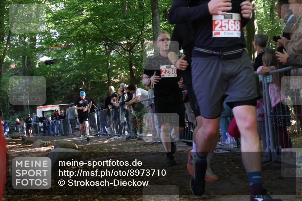 28.09.2025 - 33. Volkslauf durch das schöne Alstertal Strokosch-Dieckow http://msf.ph/oto/8973710 28.09.2025 12:22:48 Ziel 2288, 2457, 2523 meine-sportfotos.de