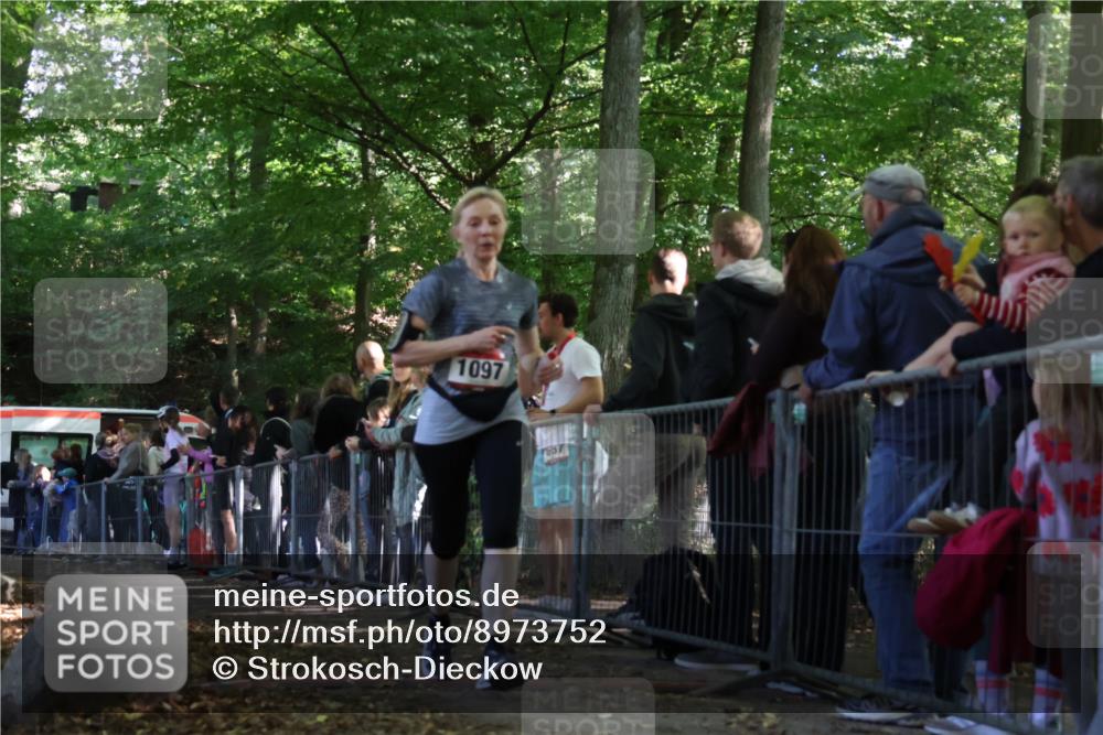 28.09.2025 - 33. Volkslauf durch das schöne Alstertal Strokosch-Dieckow http://msf.ph/oto/8973752 28.09.2025 12:23:21 Ziel 1097 meine-sportfotos.de