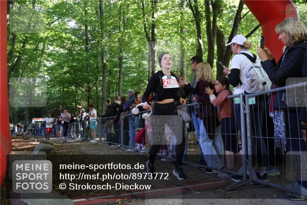 28.09.2025 - 33. Volkslauf durch das schöne Alstertal Strokosch-Dieckow http://msf.ph/oto/8973772 28.09.2025 12:24:05 Ziel 1750, 2298, 2379, 2540 meine-sportfotos.de