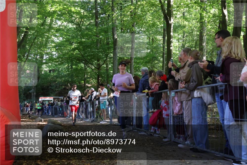 28.09.2025 - 33. Volkslauf durch das schöne Alstertal Strokosch-Dieckow http://msf.ph/oto/8973774 28.09.2025 12:24:07 Ziel 1750, 2298, 2379, 2540 meine-sportfotos.de