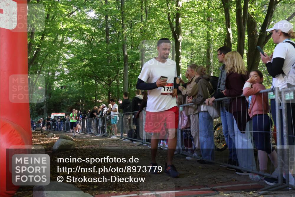 28.09.2025 - 33. Volkslauf durch das schöne Alstertal Strokosch-Dieckow http://msf.ph/oto/8973779 28.09.2025 12:24:11 Ziel 2298, 2540, 2558 meine-sportfotos.de