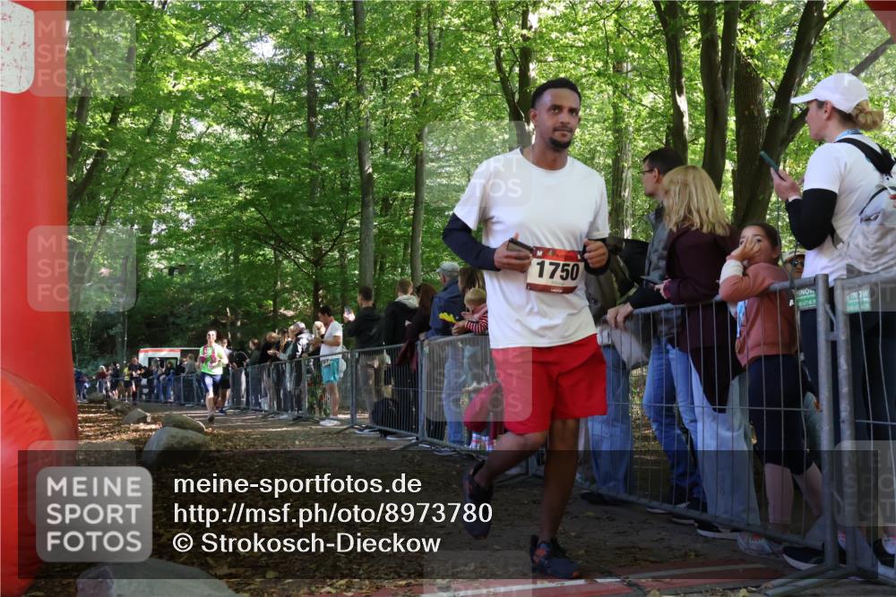 28.09.2025 - 33. Volkslauf durch das schöne Alstertal Strokosch-Dieckow http://msf.ph/oto/8973780 28.09.2025 12:24:11 Ziel 2298, 2540, 2558 meine-sportfotos.de