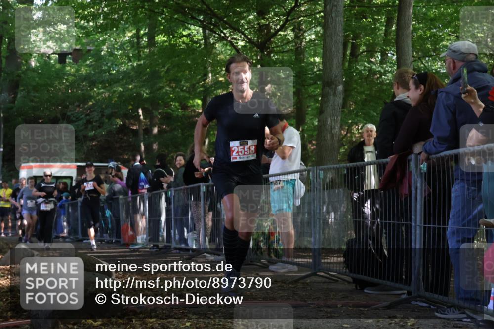 28.09.2025 - 33. Volkslauf durch das schöne Alstertal Strokosch-Dieckow http://msf.ph/oto/8973790 28.09.2025 12:24:20 Ziel 1089, 2144, 2415, 2558, 2606 meine-sportfotos.de