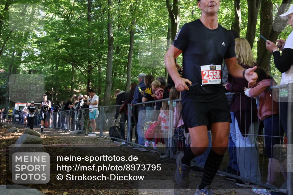28.09.2025 - 33. Volkslauf durch das schöne Alstertal Strokosch-Dieckow http://msf.ph/oto/8973795 28.09.2025 12:24:22 Ziel 1089, 2144, 2415, 2471, 2472, 2606 meine-sportfotos.de
