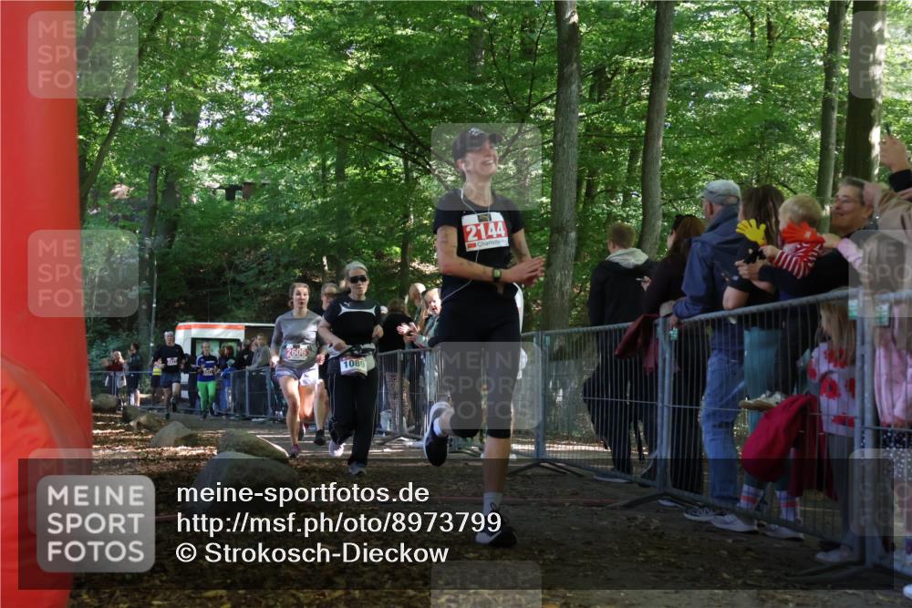 28.09.2025 - 33. Volkslauf durch das schöne Alstertal Strokosch-Dieckow http://msf.ph/oto/8973799 28.09.2025 12:24:24 Ziel 1089, 2144, 2415, 2471, 2472, 2606 meine-sportfotos.de