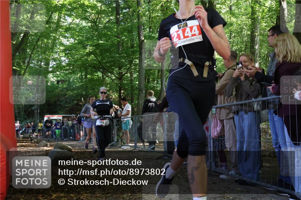 28.09.2025 - 33. Volkslauf durch das schöne Alstertal Strokosch-Dieckow http://msf.ph/oto/8973802 28.09.2025 12:24:25 Ziel 1089, 2144, 2415, 2471, 2472, 2606 meine-sportfotos.de