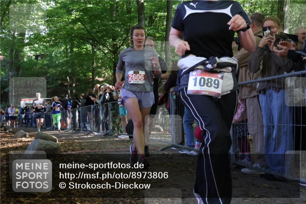 28.09.2025 - 33. Volkslauf durch das schöne Alstertal Strokosch-Dieckow http://msf.ph/oto/8973806 28.09.2025 12:24:27 Ziel 2226, 2415, 2424, 2471, 2472, 2606 meine-sportfotos.de