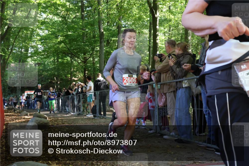 28.09.2025 - 33. Volkslauf durch das schöne Alstertal Strokosch-Dieckow http://msf.ph/oto/8973807 28.09.2025 12:24:28 Ziel 2226, 2424, 2471, 2472 meine-sportfotos.de