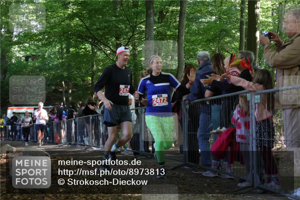 28.09.2025 - 33. Volkslauf durch das schöne Alstertal Strokosch-Dieckow http://msf.ph/oto/8973813 28.09.2025 12:24:31 Ziel 2226, 2424, 2471, 2472 meine-sportfotos.de