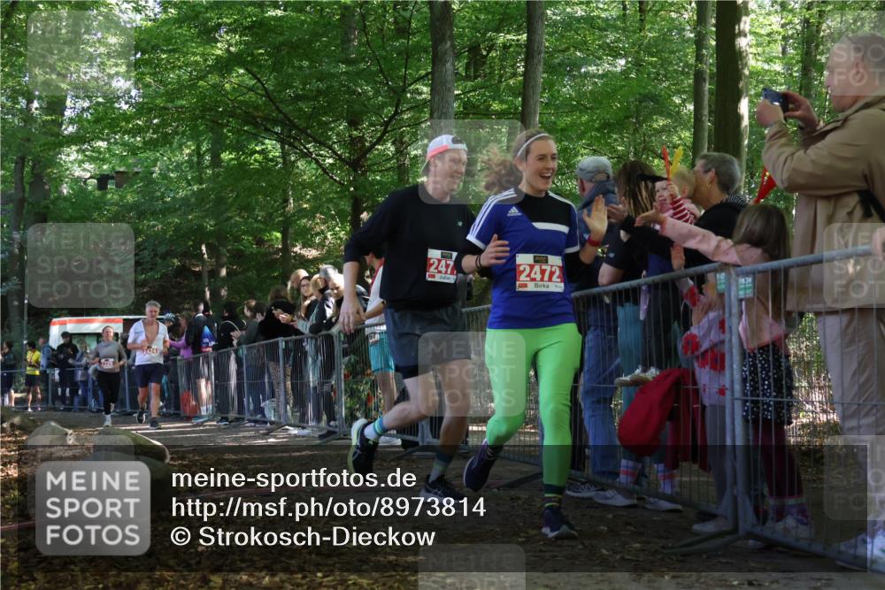 28.09.2025 - 33. Volkslauf durch das schöne Alstertal Strokosch-Dieckow http://msf.ph/oto/8973814 28.09.2025 12:24:31 Ziel 2226, 2424, 2471, 2472 meine-sportfotos.de