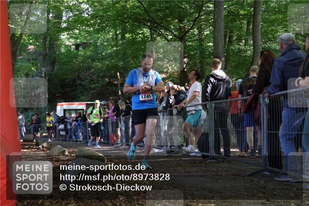 28.09.2025 - 33. Volkslauf durch das schöne Alstertal Strokosch-Dieckow http://msf.ph/oto/8973828 28.09.2025 12:24:53 Ziel 1727, 1745, 2194 meine-sportfotos.de