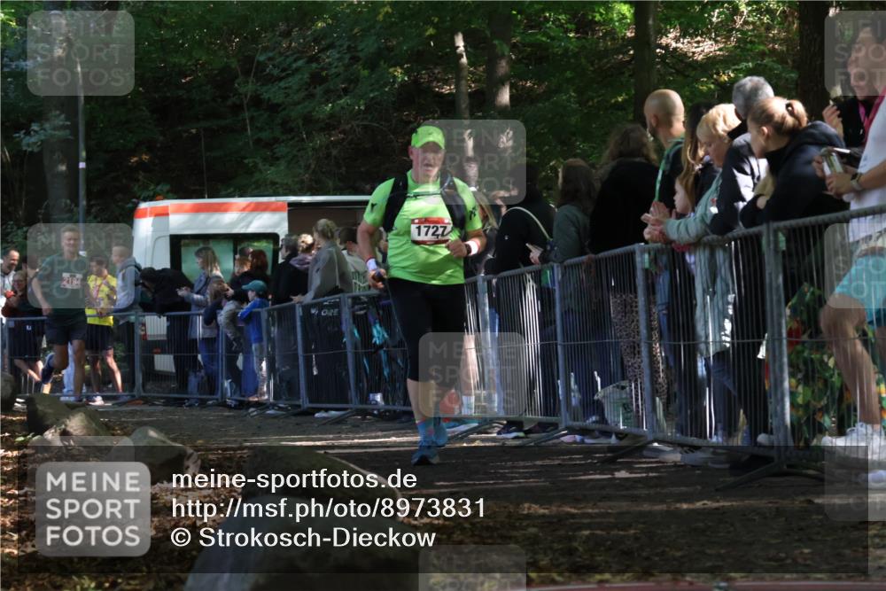 28.09.2025 - 33. Volkslauf durch das schöne Alstertal Strokosch-Dieckow http://msf.ph/oto/8973831 28.09.2025 12:24:55 Ziel 1727, 1745, 2194 meine-sportfotos.de