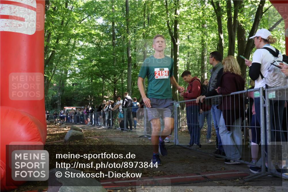 28.09.2025 - 33. Volkslauf durch das schöne Alstertal Strokosch-Dieckow http://msf.ph/oto/8973844 28.09.2025 12:25:03 Ziel 2046, 2136, 2228, 2315 meine-sportfotos.de
