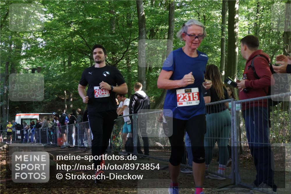 28.09.2025 - 33. Volkslauf durch das schöne Alstertal Strokosch-Dieckow http://msf.ph/oto/8973854 28.09.2025 12:25:12 Ziel 2046 meine-sportfotos.de