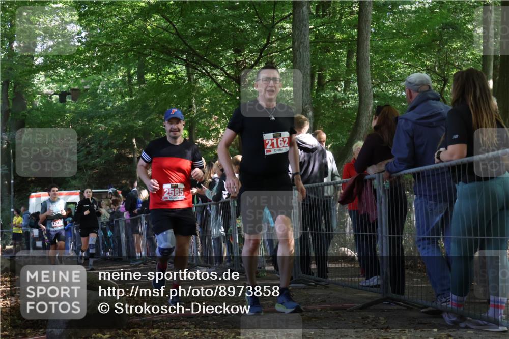 28.09.2025 - 33. Volkslauf durch das schöne Alstertal Strokosch-Dieckow http://msf.ph/oto/8973858 28.09.2025 12:25:23 Ziel 1083, 1742, 2162, 2569, 2585 meine-sportfotos.de