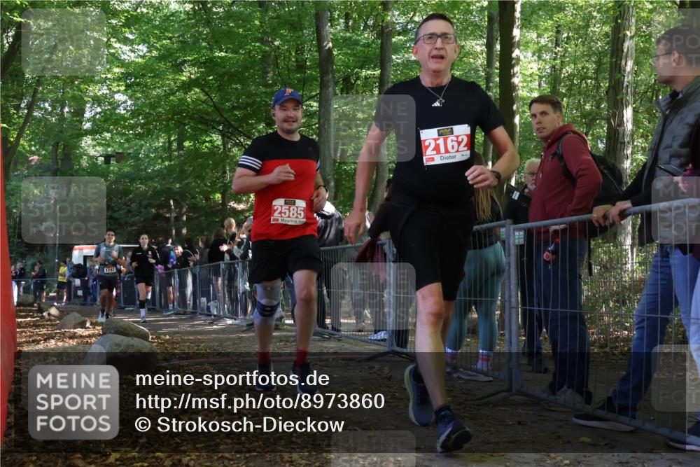 28.09.2025 - 33. Volkslauf durch das schöne Alstertal Strokosch-Dieckow http://msf.ph/oto/8973860 28.09.2025 12:25:24 Ziel 1083, 1742, 2569, 2585 meine-sportfotos.de
