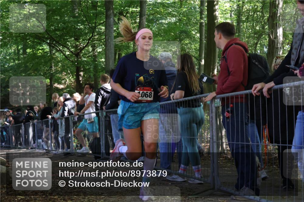 28.09.2025 - 33. Volkslauf durch das schöne Alstertal Strokosch-Dieckow http://msf.ph/oto/8973879 28.09.2025 12:25:47 Ziel 1068, 2533 meine-sportfotos.de