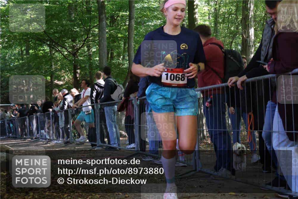28.09.2025 - 33. Volkslauf durch das schöne Alstertal Strokosch-Dieckow http://msf.ph/oto/8973880 28.09.2025 12:25:48 Ziel 2533 meine-sportfotos.de