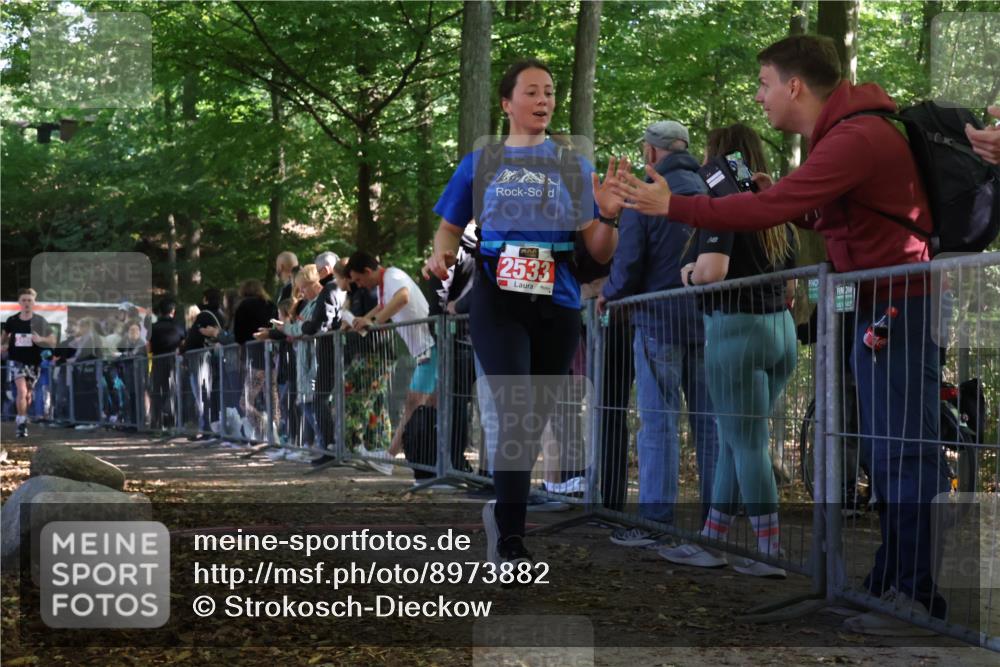 28.09.2025 - 33. Volkslauf durch das schöne Alstertal Strokosch-Dieckow http://msf.ph/oto/8973882 28.09.2025 12:25:56 Ziel 2016, 2498, 2533 meine-sportfotos.de