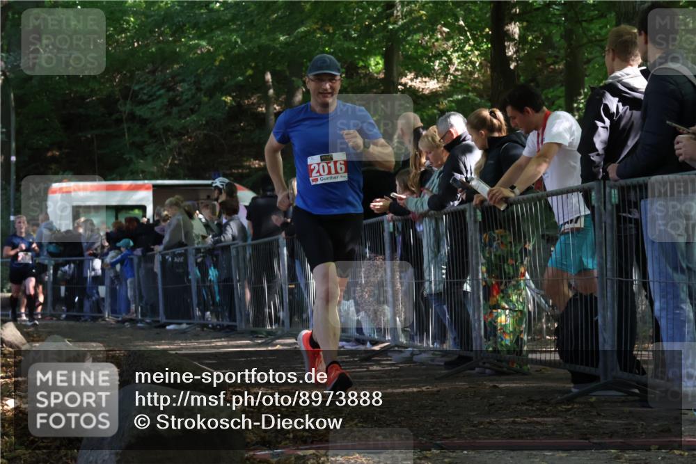 28.09.2025 - 33. Volkslauf durch das schöne Alstertal Strokosch-Dieckow http://msf.ph/oto/8973888 28.09.2025 12:26:04 Ziel 2016, 2499 meine-sportfotos.de