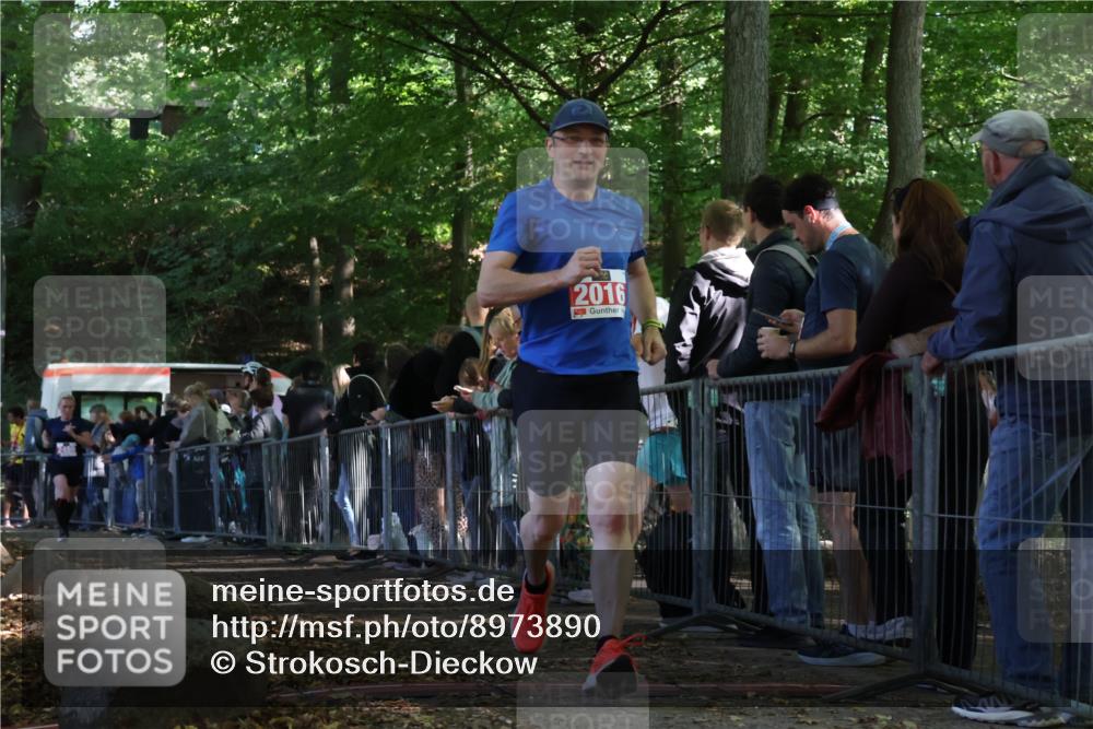 28.09.2025 - 33. Volkslauf durch das schöne Alstertal Strokosch-Dieckow http://msf.ph/oto/8973890 28.09.2025 12:26:05 Ziel 2016, 2499 meine-sportfotos.de