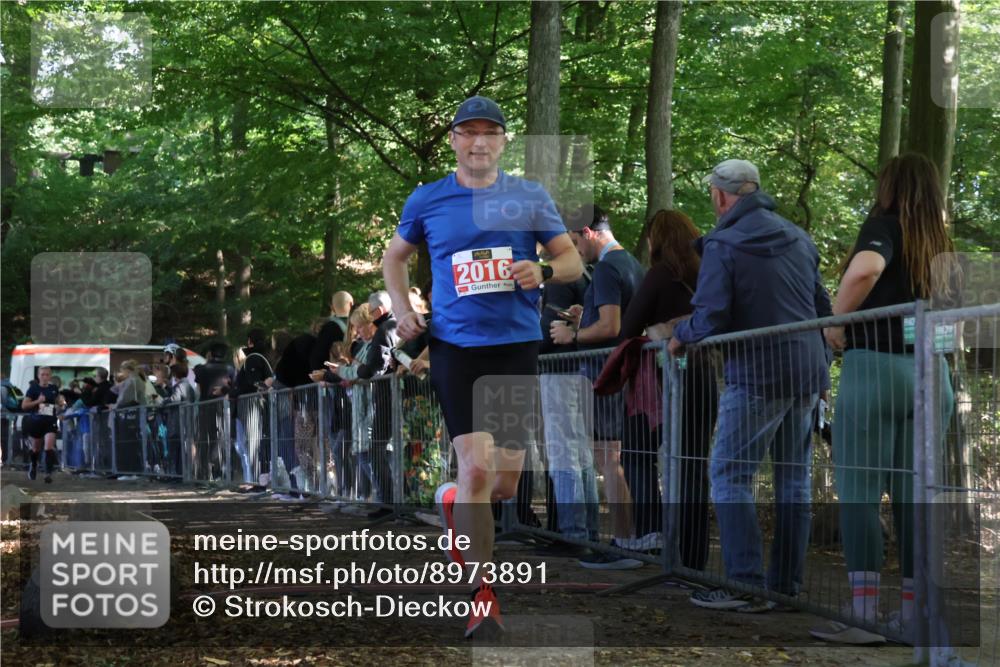 28.09.2025 - 33. Volkslauf durch das schöne Alstertal Strokosch-Dieckow http://msf.ph/oto/8973891 28.09.2025 12:26:06 Ziel 2016, 2449, 2450, 2499 meine-sportfotos.de