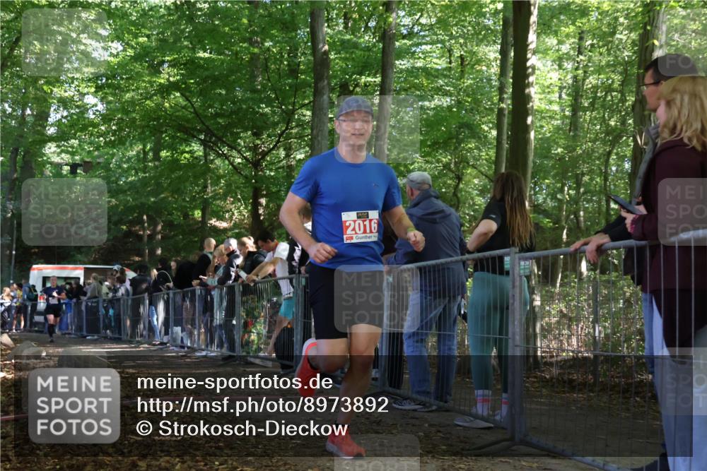 28.09.2025 - 33. Volkslauf durch das schöne Alstertal Strokosch-Dieckow http://msf.ph/oto/8973892 28.09.2025 12:26:06 Ziel 2016, 2449, 2450, 2499 meine-sportfotos.de