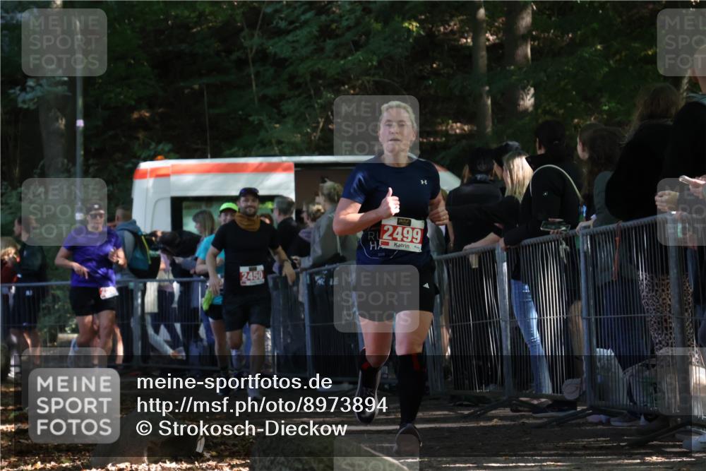28.09.2025 - 33. Volkslauf durch das schöne Alstertal Strokosch-Dieckow http://msf.ph/oto/8973894 28.09.2025 12:26:09 Ziel 2449, 2450, 2499, 2590, 2631 meine-sportfotos.de