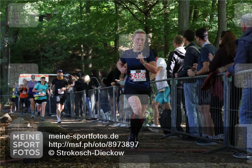 28.09.2025 - 33. Volkslauf durch das schöne Alstertal Strokosch-Dieckow http://msf.ph/oto/8973897 28.09.2025 12:26:11 Ziel 2449, 2450, 2499, 2590, 2631 meine-sportfotos.de