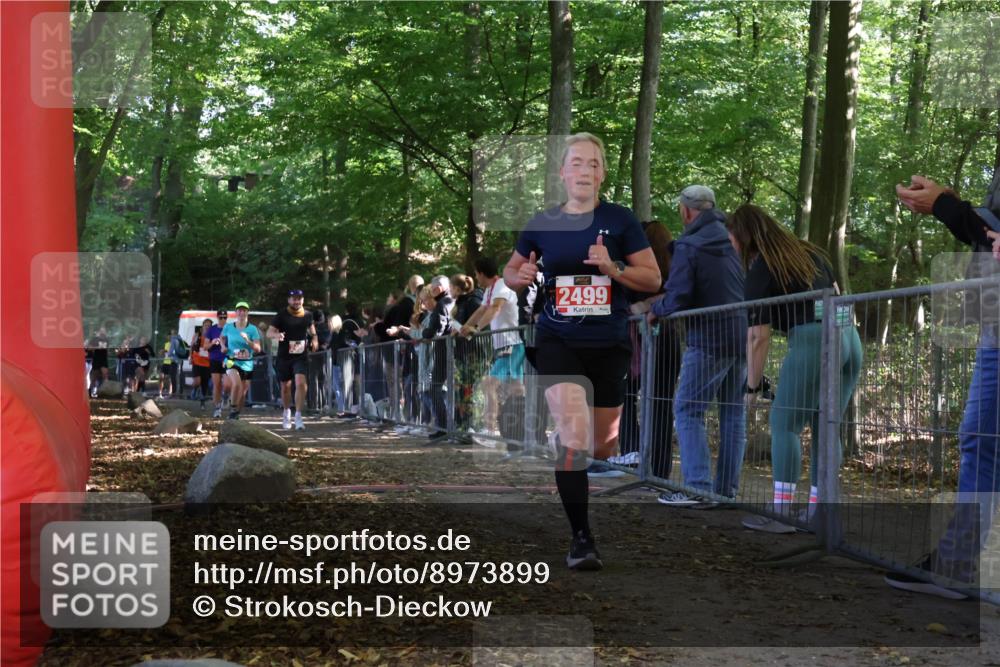 28.09.2025 - 33. Volkslauf durch das schöne Alstertal Strokosch-Dieckow http://msf.ph/oto/8973899 28.09.2025 12:26:12 Ziel 2449, 2450, 2499, 2590, 2631, 2991 meine-sportfotos.de