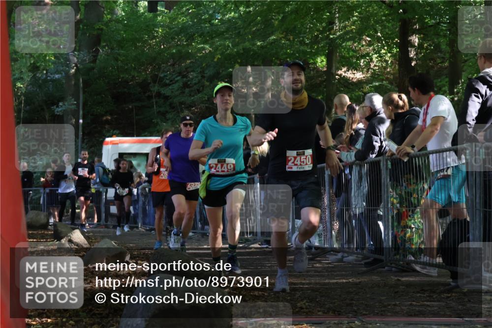 28.09.2025 - 33. Volkslauf durch das schöne Alstertal Strokosch-Dieckow http://msf.ph/oto/8973901 28.09.2025 12:26:14 Ziel 2449, 2450, 2590, 2630, 2631, 2991 meine-sportfotos.de