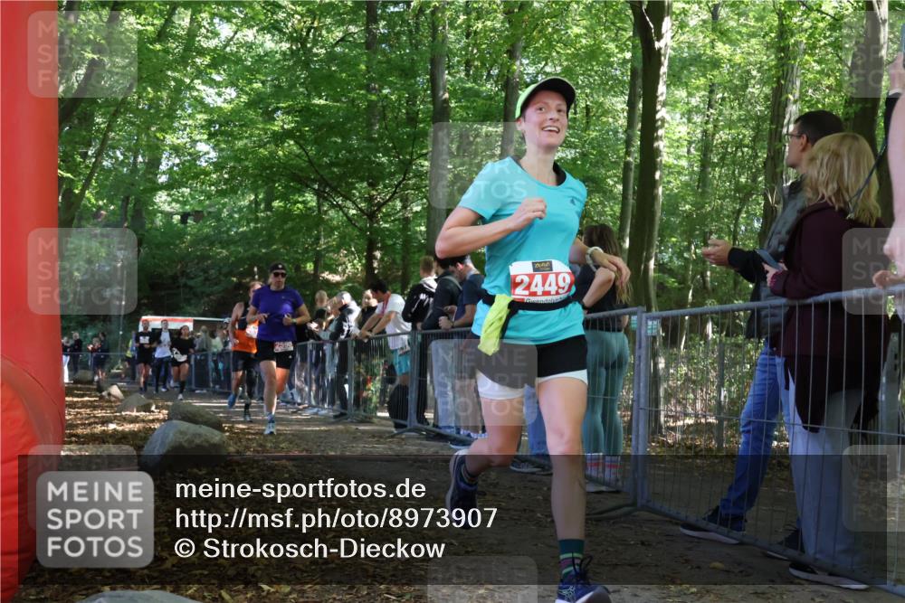 28.09.2025 - 33. Volkslauf durch das schöne Alstertal Strokosch-Dieckow http://msf.ph/oto/8973907 28.09.2025 12:26:16 Ziel 2449, 2450, 2516, 2590, 2630, 2631, 2991 meine-sportfotos.de