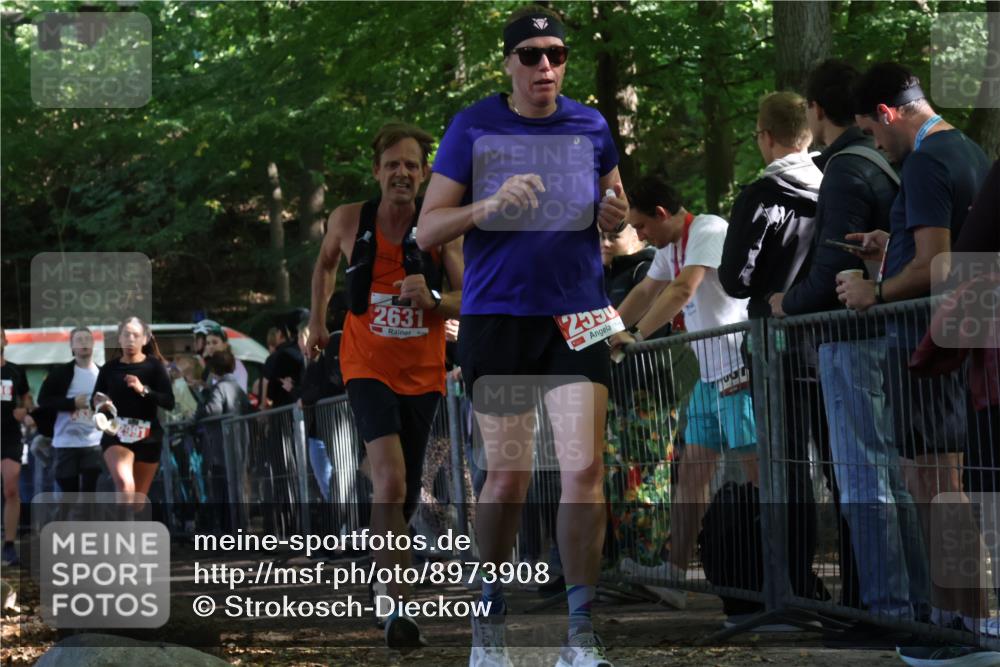 28.09.2025 - 33. Volkslauf durch das schöne Alstertal Strokosch-Dieckow http://msf.ph/oto/8973908 28.09.2025 12:26:17 Ziel 2516, 2590, 2630, 2631, 2991 meine-sportfotos.de