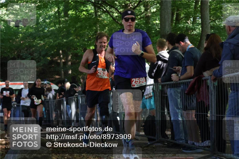 28.09.2025 - 33. Volkslauf durch das schöne Alstertal Strokosch-Dieckow http://msf.ph/oto/8973909 28.09.2025 12:26:18 Ziel 2516, 2590, 2630, 2631, 2991 meine-sportfotos.de
