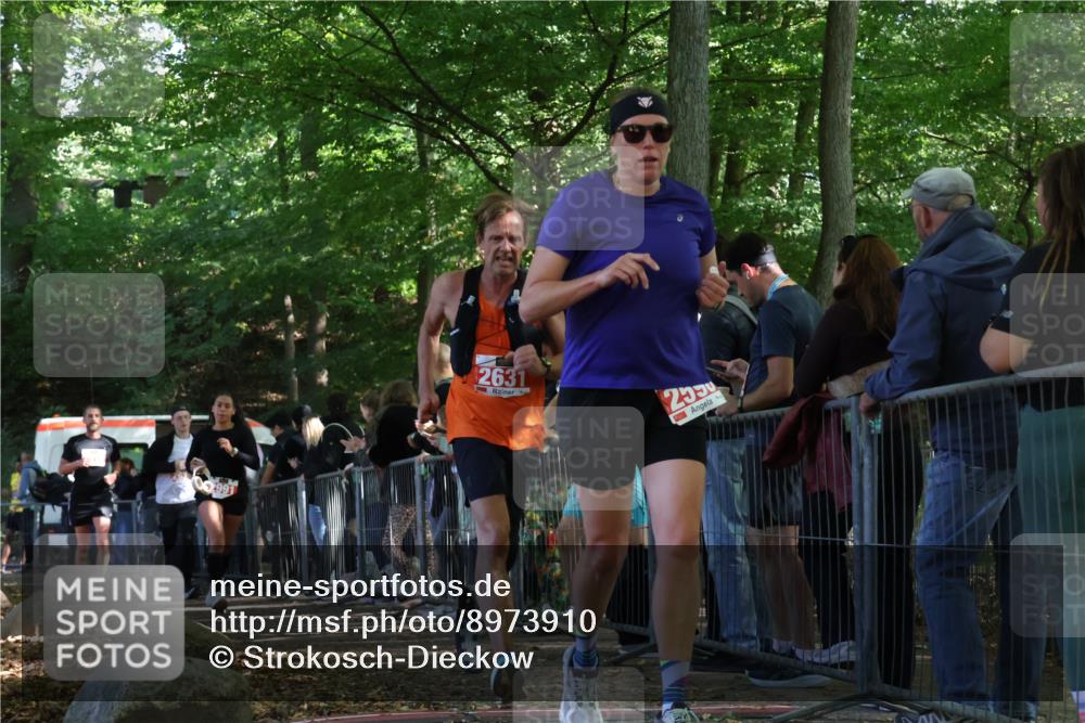 28.09.2025 - 33. Volkslauf durch das schöne Alstertal Strokosch-Dieckow http://msf.ph/oto/8973910 28.09.2025 12:26:18 Ziel 2516, 2590, 2630, 2631, 2991 meine-sportfotos.de
