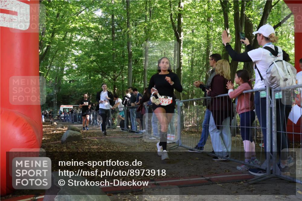 28.09.2025 - 33. Volkslauf durch das schöne Alstertal Strokosch-Dieckow http://msf.ph/oto/8973918 28.09.2025 12:26:22 Ziel 2516, 2630, 2991 meine-sportfotos.de