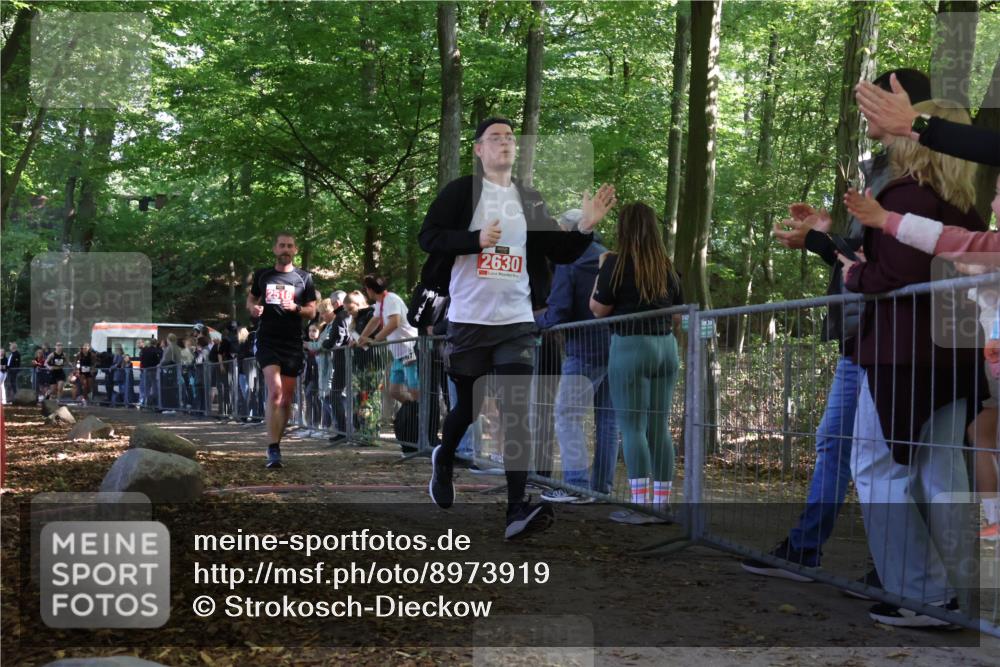 28.09.2025 - 33. Volkslauf durch das schöne Alstertal Strokosch-Dieckow http://msf.ph/oto/8973919 28.09.2025 12:26:23 Ziel 2392, 2516, 2630, 2994 meine-sportfotos.de