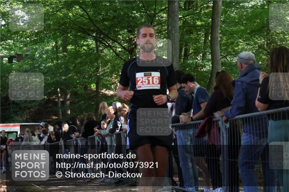 28.09.2025 - 33. Volkslauf durch das schöne Alstertal Strokosch-Dieckow http://msf.ph/oto/8973921 28.09.2025 12:26:25 Ziel 2335, 2392, 2516, 2994, 2997 meine-sportfotos.de