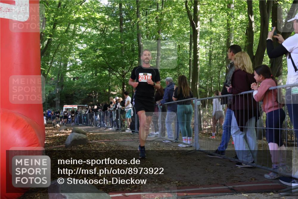 28.09.2025 - 33. Volkslauf durch das schöne Alstertal Strokosch-Dieckow http://msf.ph/oto/8973922 28.09.2025 12:26:26 Ziel 2335, 2392, 2994, 2997 meine-sportfotos.de