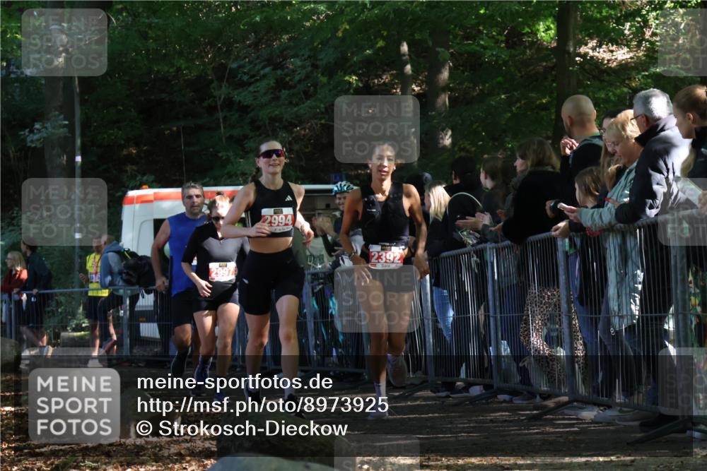 28.09.2025 - 33. Volkslauf durch das schöne Alstertal Strokosch-Dieckow http://msf.ph/oto/8973925 28.09.2025 12:26:29 Ziel 2335, 2392, 2994, 2997 meine-sportfotos.de