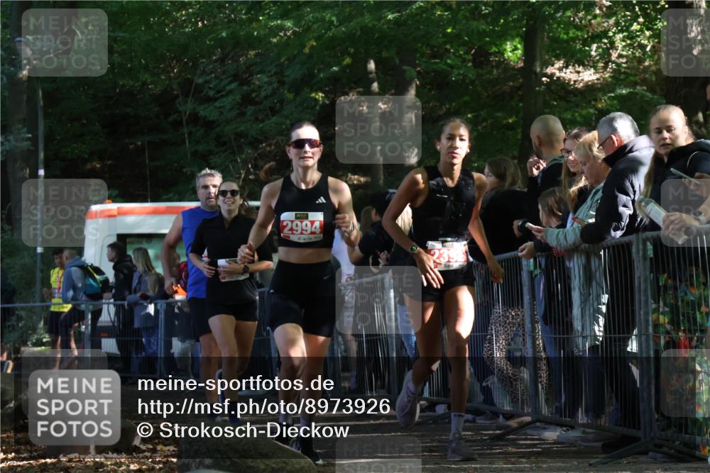 28.09.2025 - 33. Volkslauf durch das schöne Alstertal Strokosch-Dieckow http://msf.ph/oto/8973926 28.09.2025 12:26:30 Ziel 2335, 2392, 2994, 2997 meine-sportfotos.de