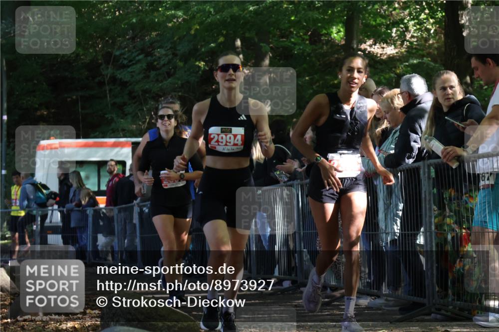 28.09.2025 - 33. Volkslauf durch das schöne Alstertal Strokosch-Dieckow http://msf.ph/oto/8973927 28.09.2025 12:26:31 Ziel 2335, 2392, 2994, 2997 meine-sportfotos.de