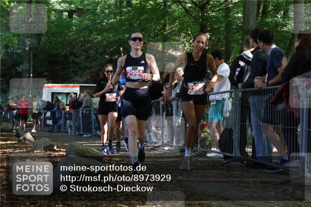 28.09.2025 - 33. Volkslauf durch das schöne Alstertal Strokosch-Dieckow http://msf.ph/oto/8973929 28.09.2025 12:26:32 Ziel 2335, 2392, 2994, 2997 meine-sportfotos.de
